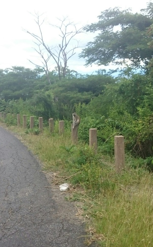 _20150504_194413.JPG image